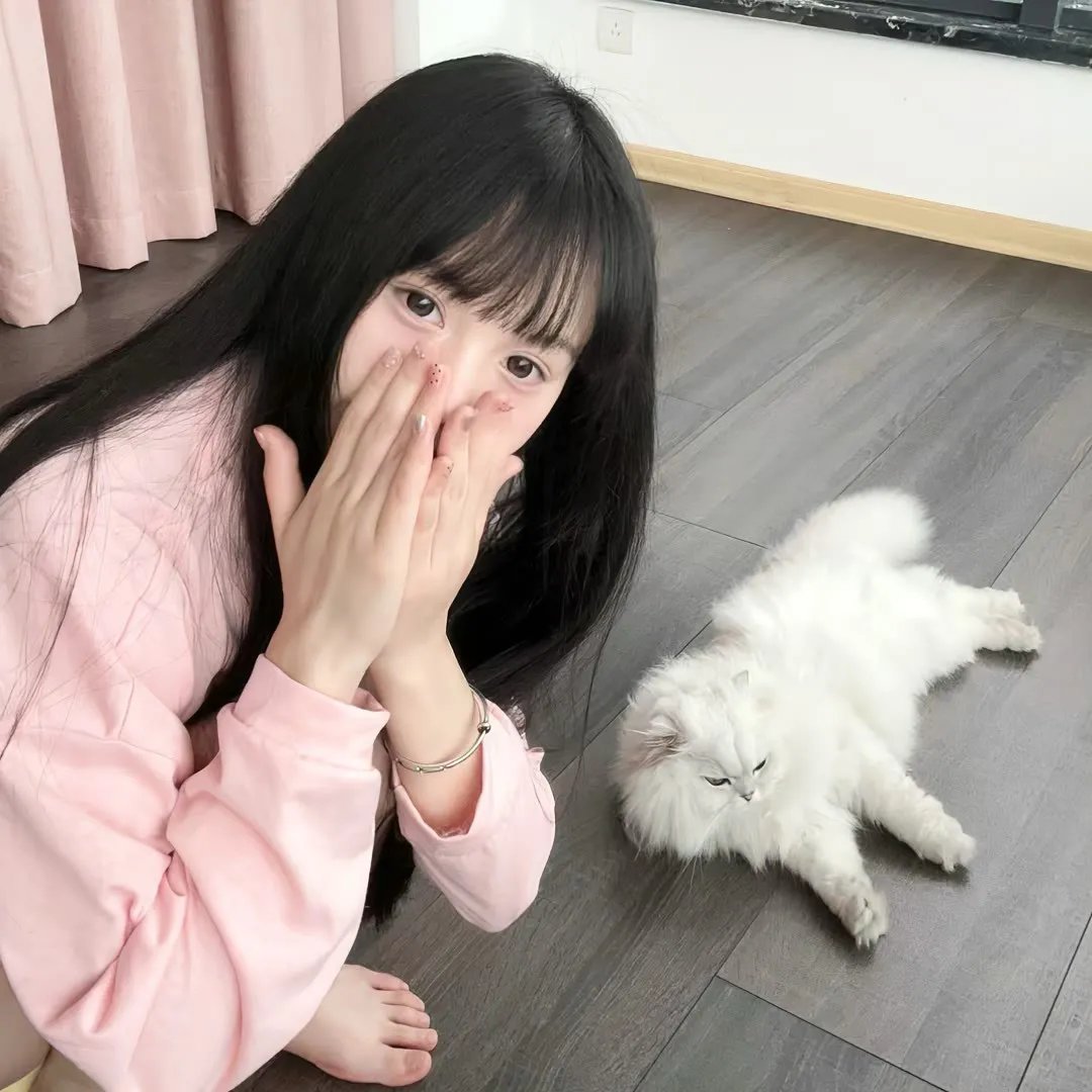 优质杀手